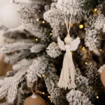 vianocne fotenie v Bratislave