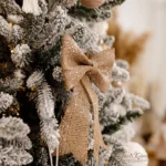 vianocne fotenie v Bratislave